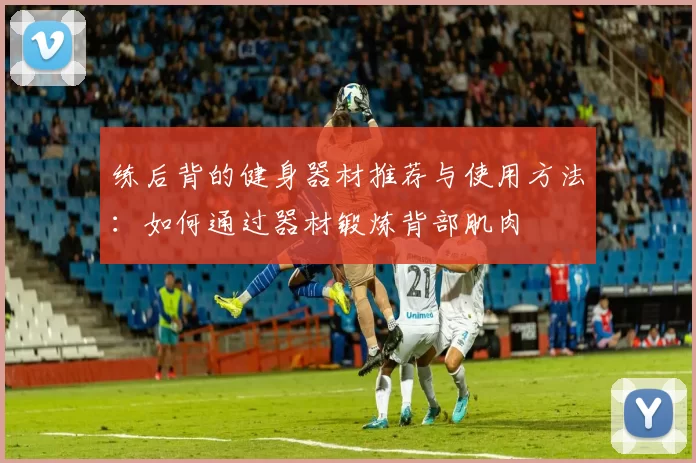 练后背的健身器材推荐与使用方法：如何通过器材锻炼背部肌肉
