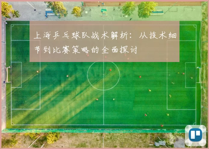 上海乒乓球队战术解析：从技术细节到比赛策略的全面探讨