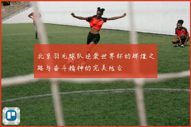 北京羽毛球队逆袭世界杯的辉煌之路与奋斗精神的完美结合