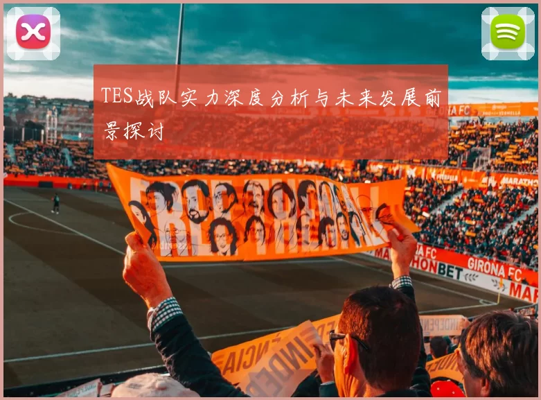 TES战队实力深度分析与未来发展前景探讨