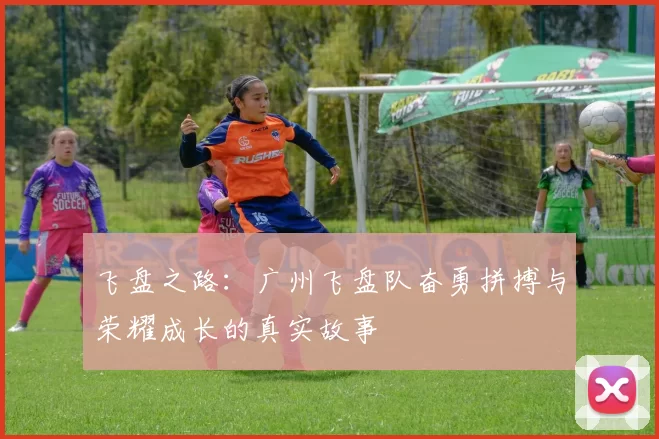 飞盘之路：广州飞盘队奋勇拼搏与荣耀成长的真实故事