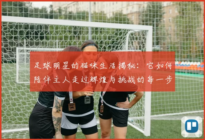 足球明星的猫咪生活揭秘：它如何陪伴主人走过辉煌与挑战的每一步