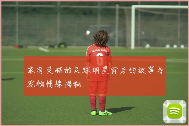 家有灵猫的足球明星背后的故事与宠物情缘揭秘