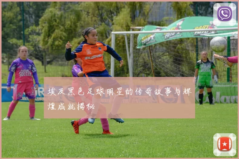 埃及黑色足球明星的传奇故事与辉煌成就揭秘