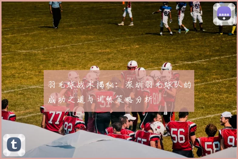 羽毛球战术揭秘：深圳羽毛球队的成功之道与训练策略分析