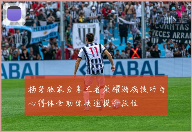 杨芳独家分享王者荣耀游戏技巧与心得体会助你快速提升段位