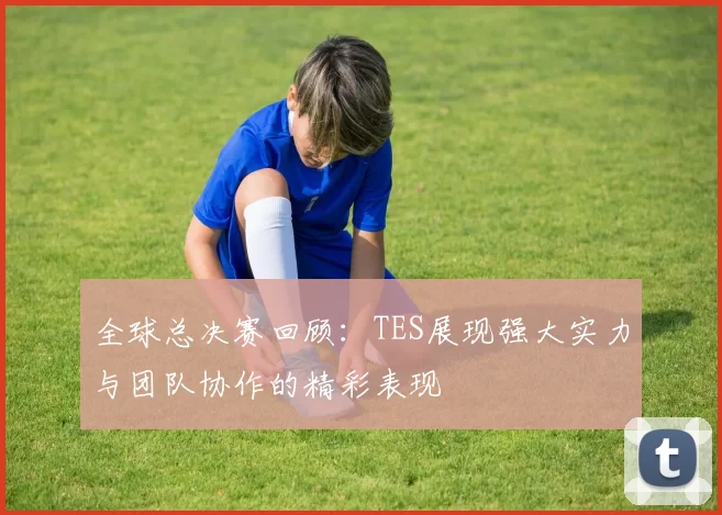全球总决赛回顾：TES展现强大实力与团队协作的精彩表现