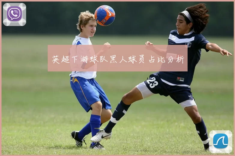 英超下游球队黑人球员占比分析
