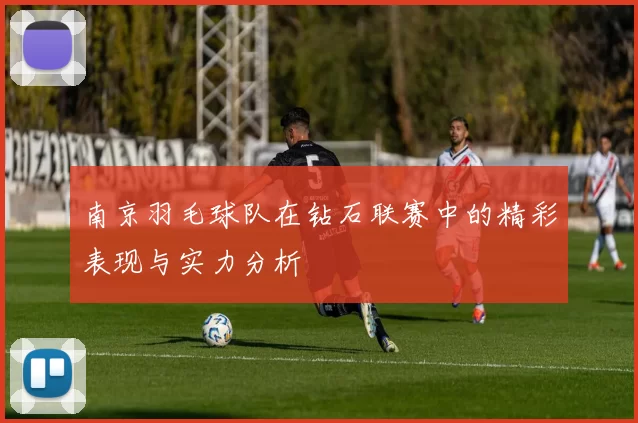 南京羽毛球队在钻石联赛中的精彩表现与实力分析
