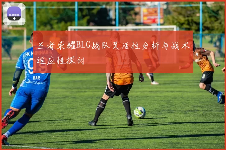 王者荣耀BLG战队灵活性分析与战术适应性探讨