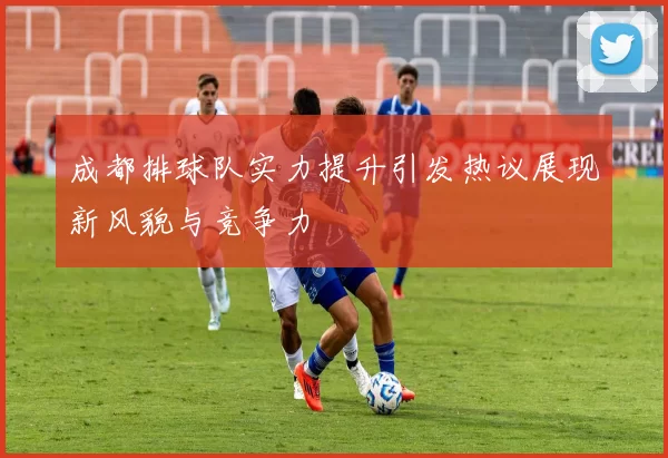 成都排球队实力提升引发热议展现新风貌与竞争力