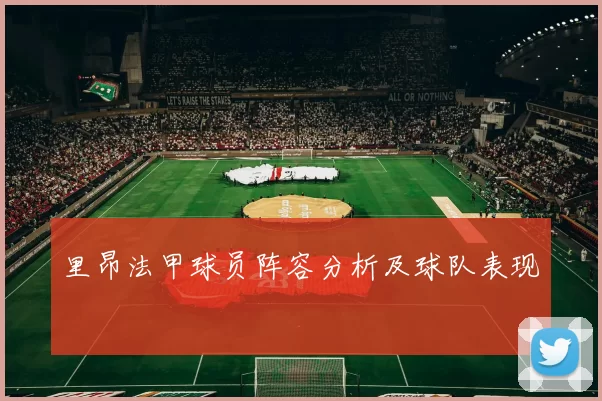 里昂法甲球员阵容分析及球队表现