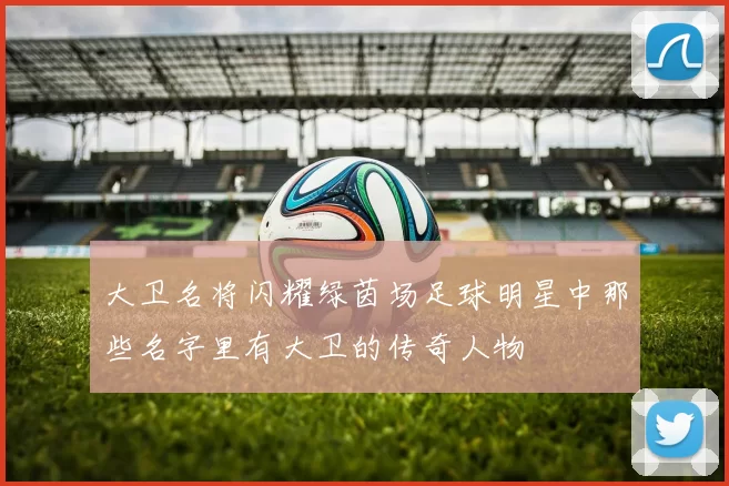 大卫名将闪耀绿茵场足球明星中那些名字里有大卫的传奇人物