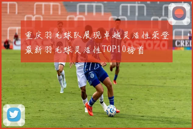 重庆羽毛球队展现卓越灵活性荣登最新羽毛球灵活性TOP10榜首