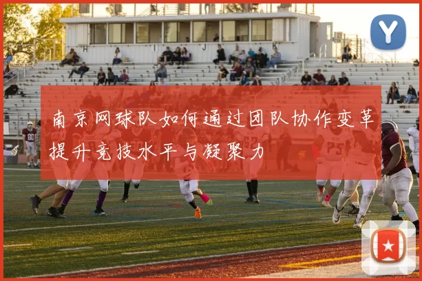 南京网球队如何通过团队协作变革提升竞技水平与凝聚力