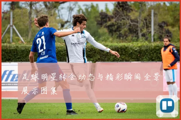 足球明星转会动态与精彩瞬间全景展示图集