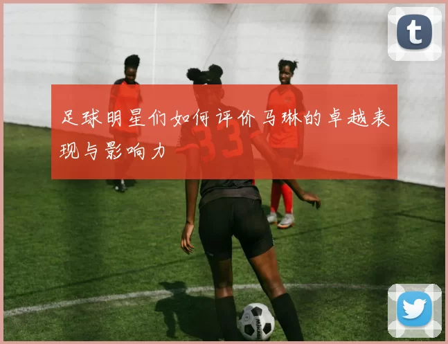 足球明星们如何评价马琳的卓越表现与影响力