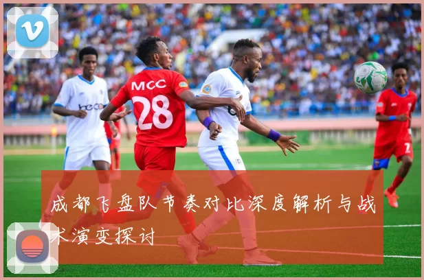 成都飞盘队节奏对比深度解析与战术演变探讨