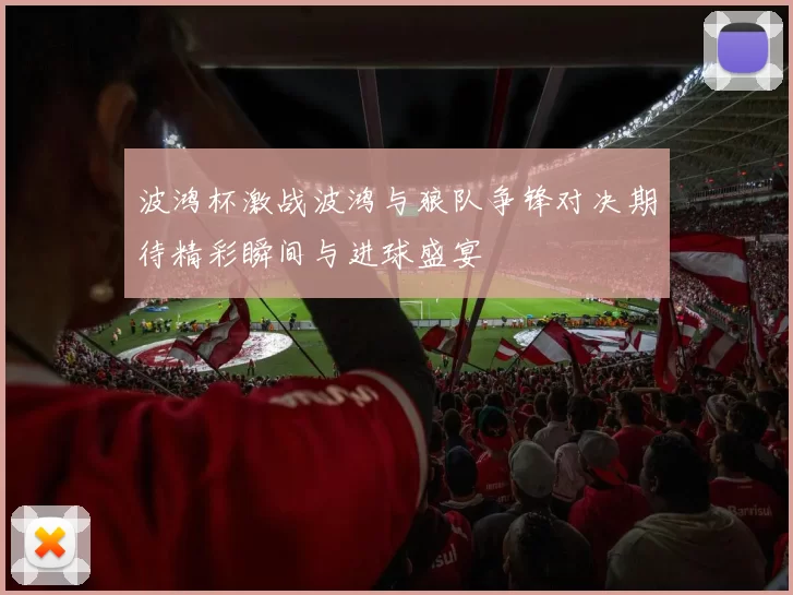 波鸿杯激战波鸿与狼队争锋对决期待精彩瞬间与进球盛宴